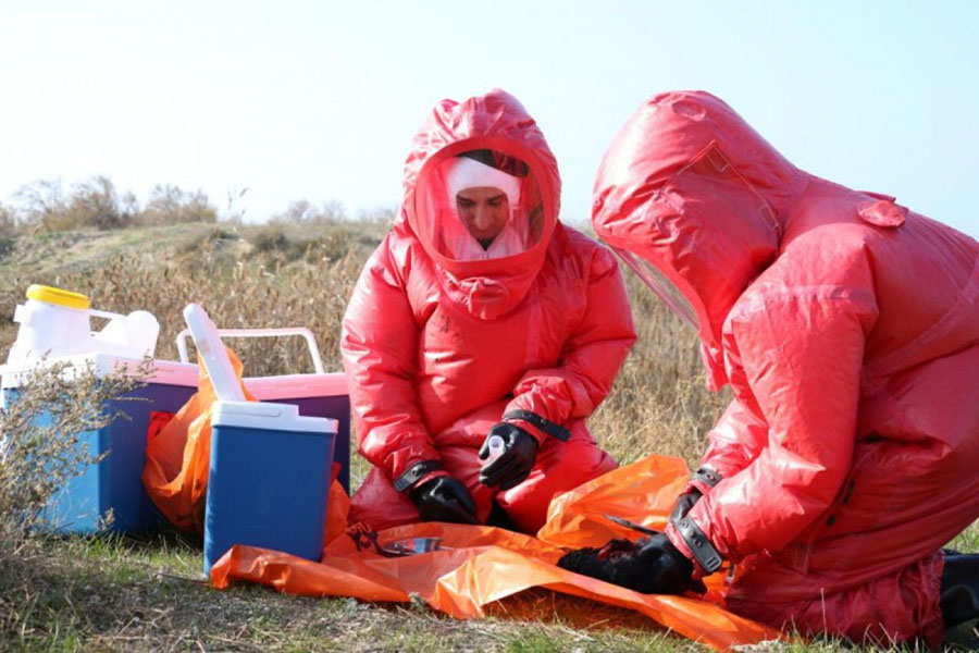 Azərbaycanda quş qripinə qarşı növbəti monitorinqlər keçiriləcəkk