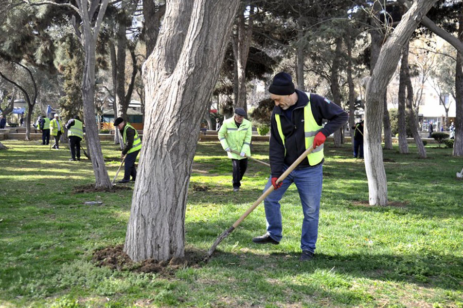 Bakıda ümumşəhər iməciliyi keçirilir