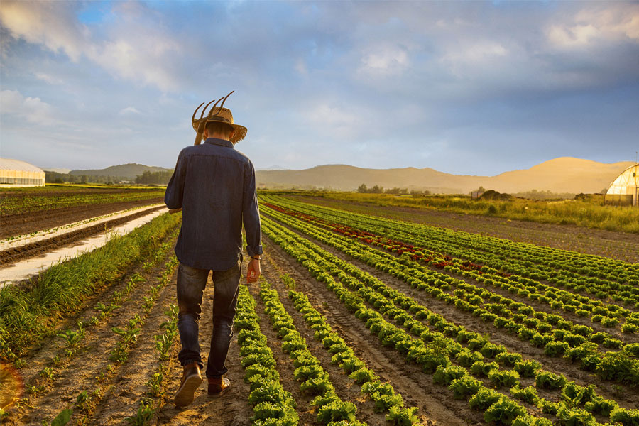 Fermerlər yaxın günlərdə subsidiya almağa başlayacaq