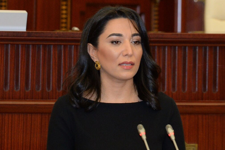 Ombudsman: Ermənistan yeni münaqişə ocağının yaranmasına çalışır