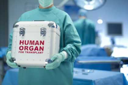 Azərbaycanda son bir ildə 11 meyitdən orqan köçürülməsi həyata keçirilib