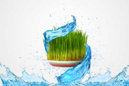 Bu gün Azərbaycanda Su çərşənbəsidir