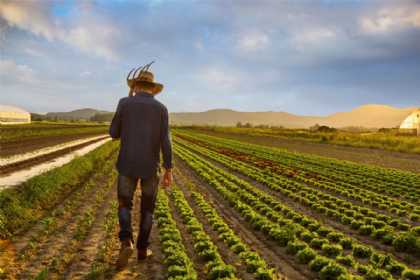 Fermerlər yaxın günlərdə subsidiya almağa başlayacaq