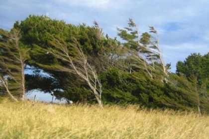 Külək güclənəcək - XƏBƏRDARLIQ