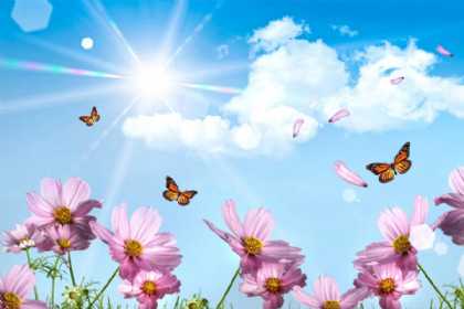 Sabah ölkə ərazisində 39 dərəcə isti olacaq