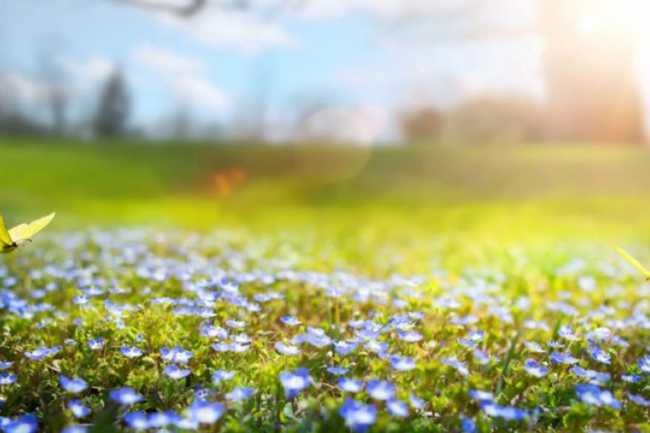 Mayın ilk gününün HAVA PROQNOZU