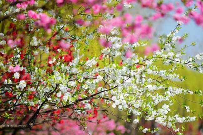 Şənbə gününün HAVA PROQNOZU