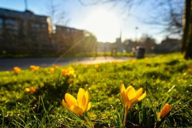Şənbə gününün HAVA PROQNOZU