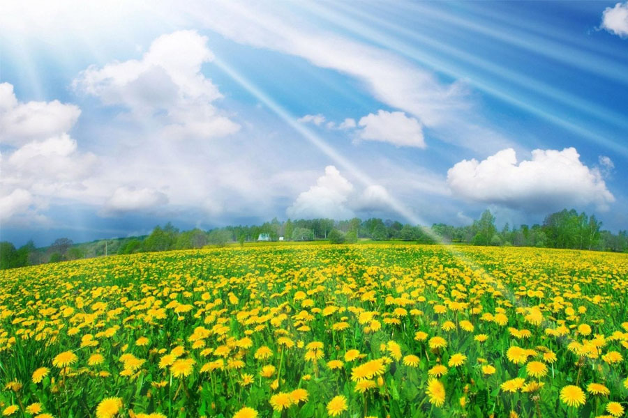 Aprelin ilk gününün HAVA POQNOZU