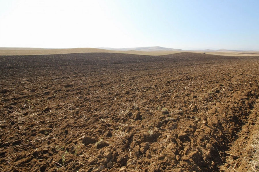 Torpaq vergisi bəyannaməsinin təqdim olunması müddəti dəyişib